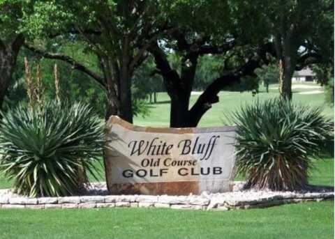 7050 Golf Drive, Whitney, TX 76692