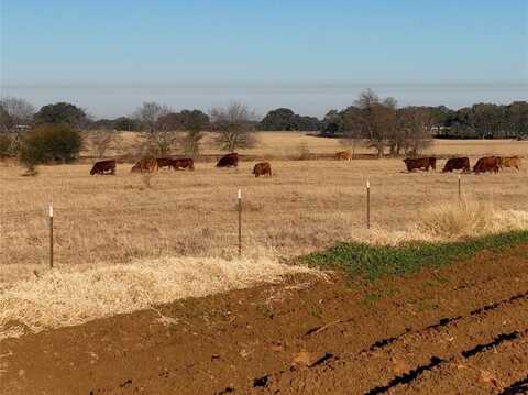 Tr 9 SH 97, Floresville, TX 78114
