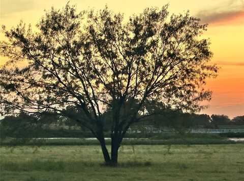 13667 Wortham Bend Road, China Spring, TX 76633