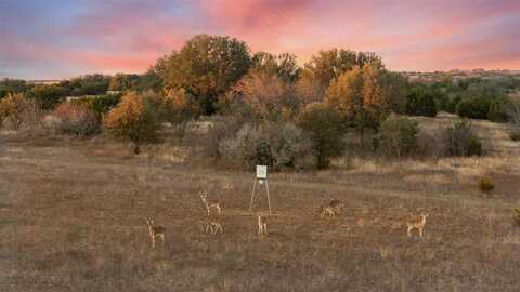 1517 FM 2490, Valley Mills, TX 76689