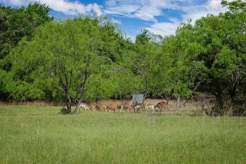 177 CR 241, Kosse, TX 76653