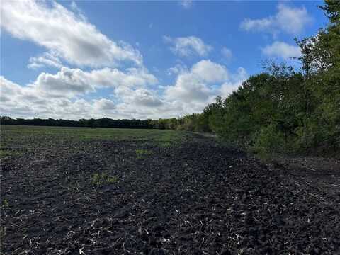 Tbd CR 117 Road, Rogers, TX 76569