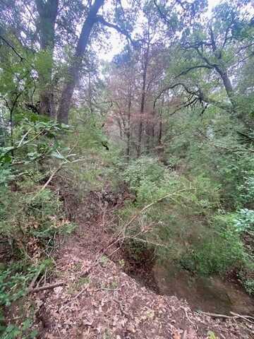 Tbd Hwy 14, Kosse, TX 76653