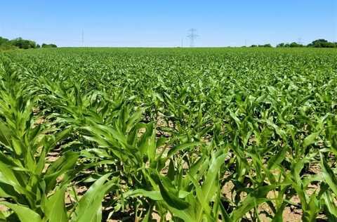 Tbd CR 459, Troy, TX 76524