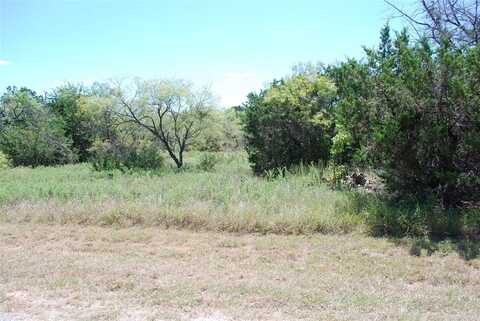 43131 Mountain Sage Drive, Whitney, TX 76692