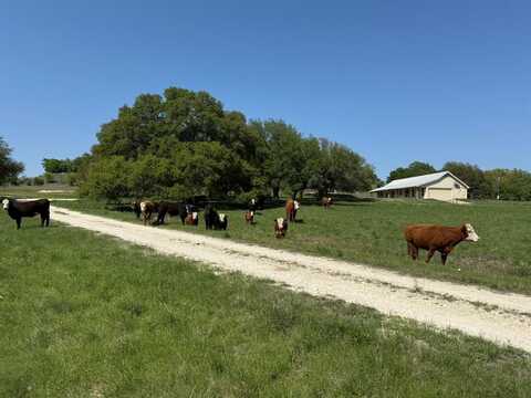 3399 CR 267, Oglesby, TX 76561