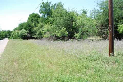17001 Trailwood Drive, Whitney, TX 76692