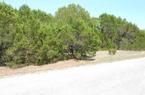 12101 Oak Dale Drive, Whitney, TX 76692