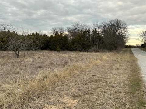 36021 Cedar Ridge Drive, Whitney, TX 76692