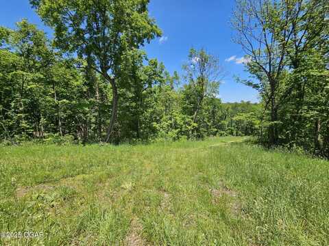 690 Town Hollow Road, Anderson, MO 64831