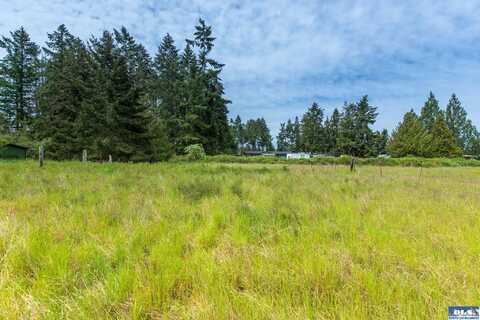 Lot 3 Potter SP River Road, Sequim, WA 98382