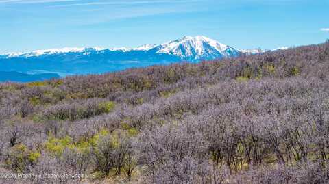 3600 Bear Paw Lane, Glenwood Springs, CO 81601
