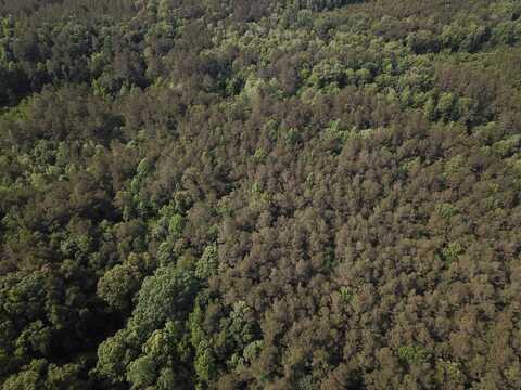 000 palmetto branch rd, Jena, LA 71342