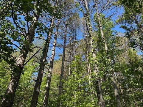 Hwy 11, Red Bay, AL 35582