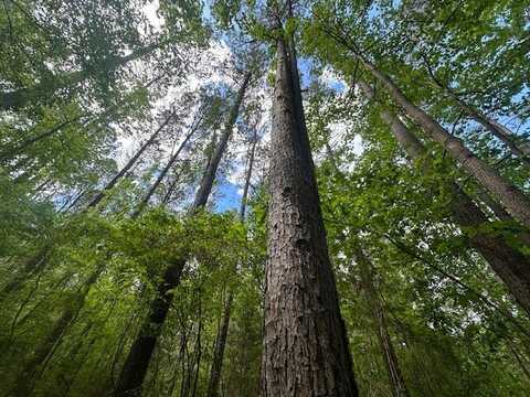Hwy 11, Red Bay, AL 35882