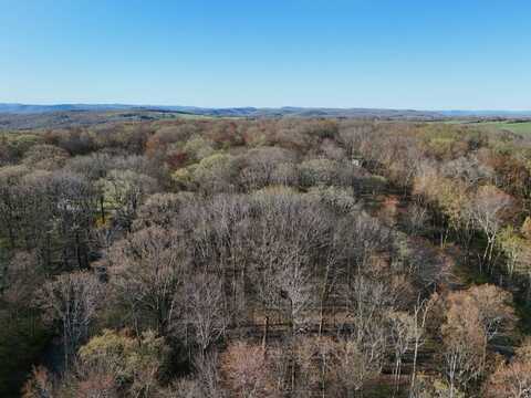 00WP Hammond Hill Rd, Dover Plains, NY 12522