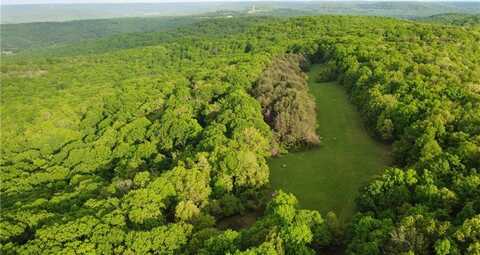 163 Acres Low Gap RD, West Fork, AR 72774