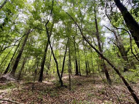 0 White Branch Trail, Whatley, AL 36482