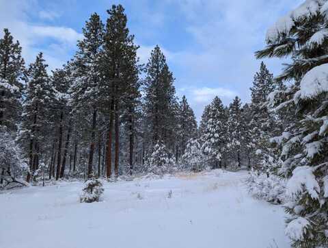 TL 1100 Off Forest Service Rd 2820, Burns, OR 97720