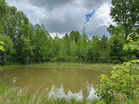 2060 Shreve Rd., Fordsville, KY 42343