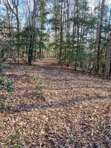 0 Bull Neck Rd, Caret, VA 22436
