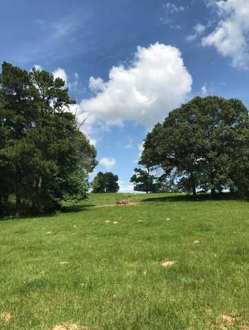 894 CR 4908, Troup, TX 75789
