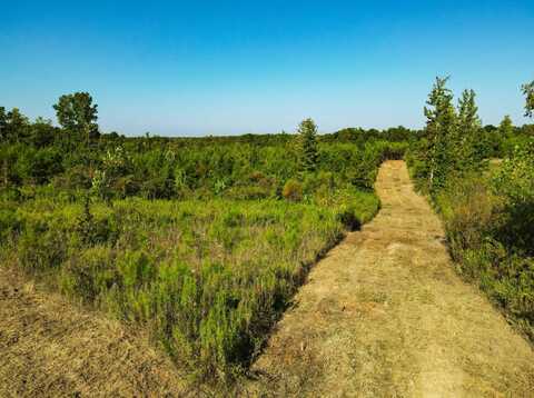 0 Hwy 33, Courtlan, AL 35618