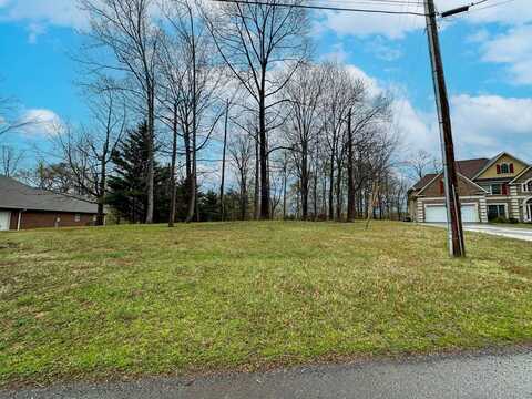 0 David Swann, Dandridge, TN 37725