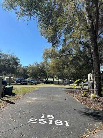 25161 NE 140TH LOOP, SALT SPRINGS, FL 32134