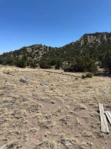 XX Tadlock Rd, Quemado, NM 87829