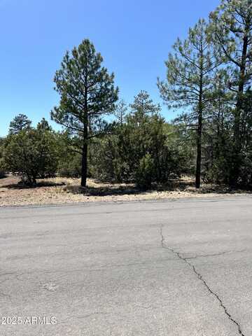 5454 GRAY WOLF Drive, Lakeside, AZ 85929