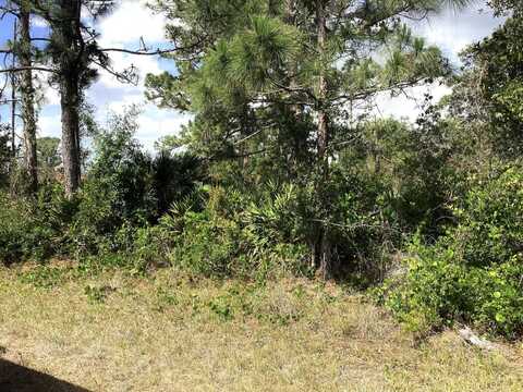 235 Otter Ave NW, Lake Placid, FL 33852