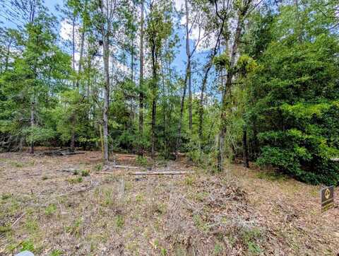 TBD SW 93rd Lane, Dunnellon, FL 34431
