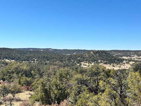 XX Double J Court, Pie Town, NM 87827