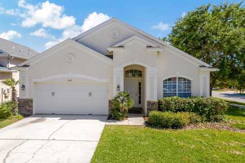 3415 Clover Blossom Circle, Keystone, FL 34638