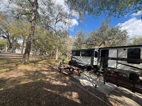 14116 NE 253RD AVE RD, SALT SPRINGS FL, FL 32134
