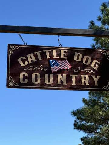 37 Lasso Ln, Pie Town, NM 87827