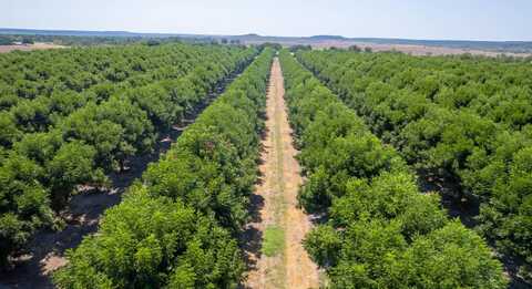 TBD COUNTY ROAD 216, San Saba, TX 76877