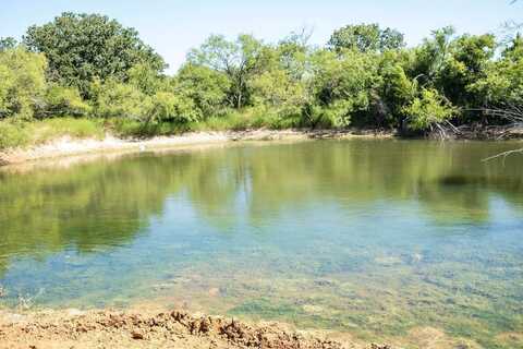 TBD COUNTY ROAD 331, Rising Star, TX 76471