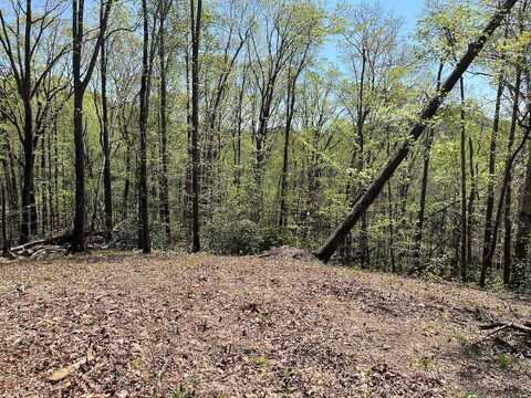 220 Painter Creek Rd, Travelers Rest, SC 29690
