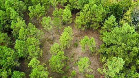 61 Co Rd 650, Walnut, MS 38683