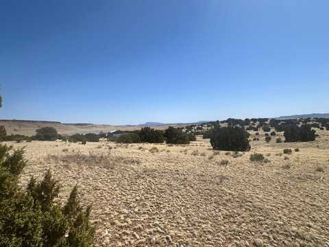 471 Cimarron Dr, Quemado, NM 87829
