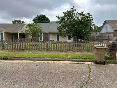 6823 Northknoll Cv, Millington, TN 38053