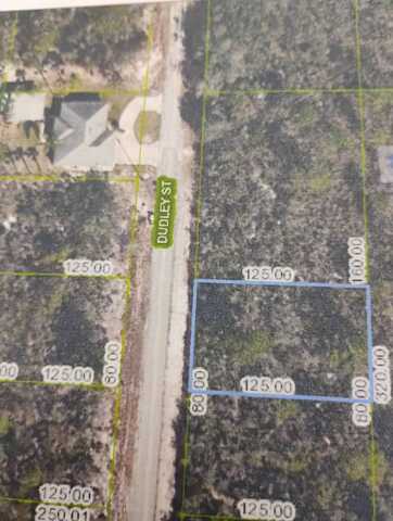 1107 Ramiro St, Lake Placid, FL 33852