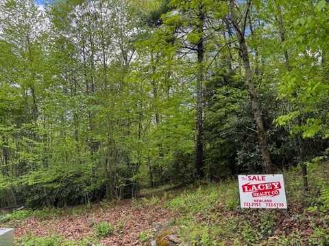 tbd Royal Pines Drive, Pineola, NC 28657
