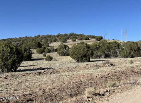 0 N PARCEL #301-10-230-1557 --, Seligman, AZ 86337