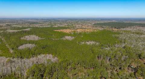 0 Gum Swamp Rd, Greenville, FL 32331