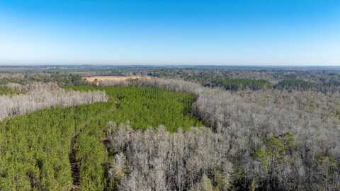 0 James Noble Road, Greenville, FL 32331