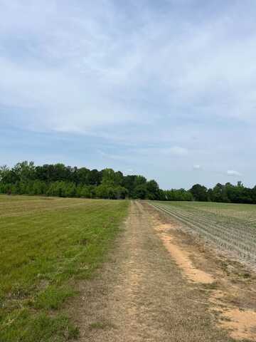 000 Cucumber Ally, Florence, SC 29501