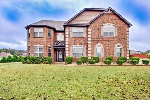 609 Eskimo Ct, Hampton, GA 30228